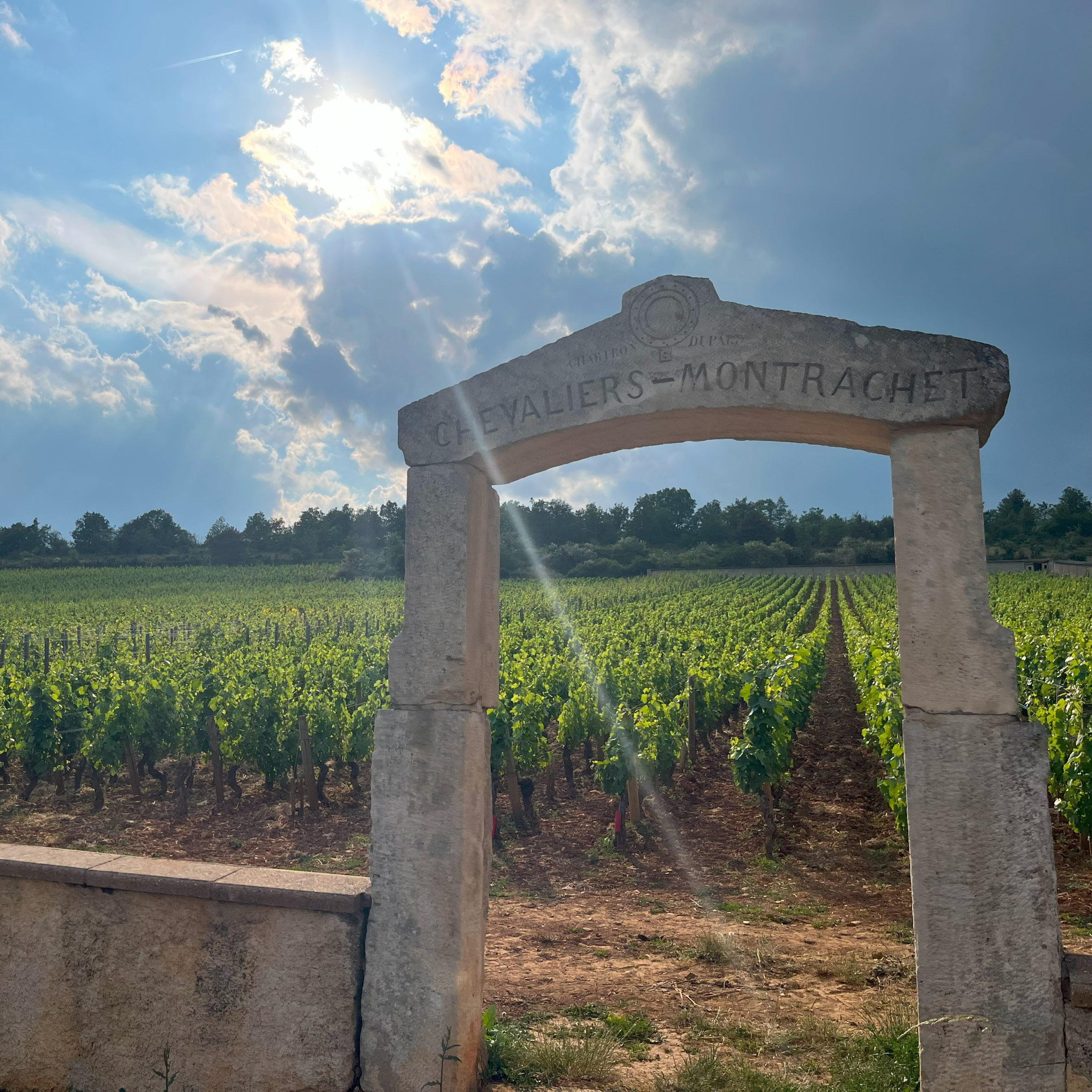 Wine & Beverage Consulting